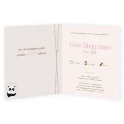 Space panda - Lieke
