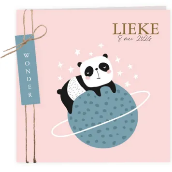Space panda - Lieke