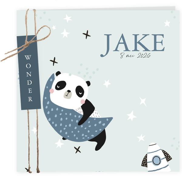 Space panda - Jake