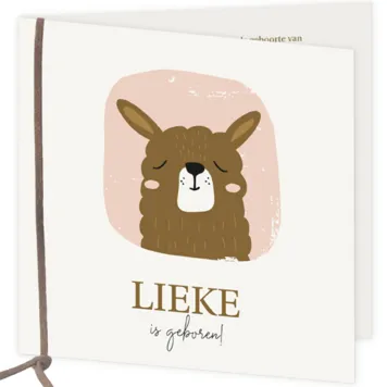 Alpaca - Lieke