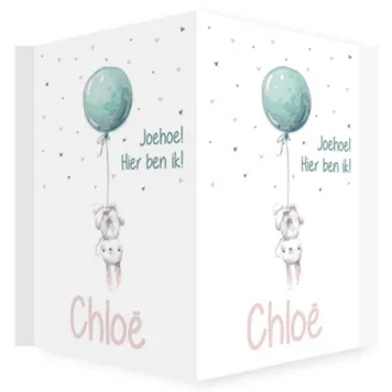 Raambord Chloë, joehoe konijntje