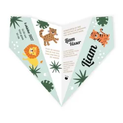 Geboortekaart vliegtuig met dieren