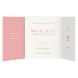 Boekje Gouden maan - Meau