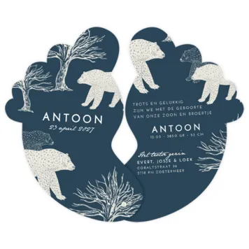 Voetjes met beren - Antoon