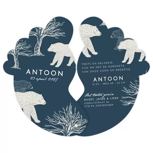 Voetjes met beren - Antoon