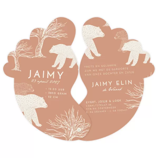 Voetjes met beren - Jaimy