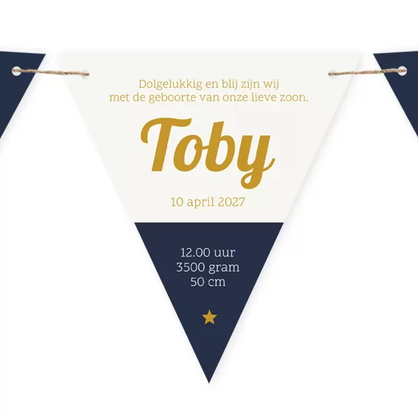 Geboortekaart slinger jongen met silhouet blauw