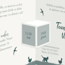 Geboortekaart drieluik boerderij jongen groen