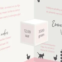 Geboortekaart drieluik boerderij meisje roze