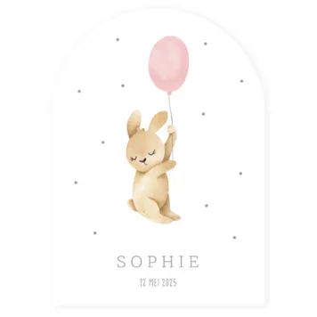 Lief geboortekaartje konijntje met roze ballon