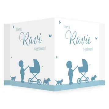 Raambord silhouet grote broer en baby broertje