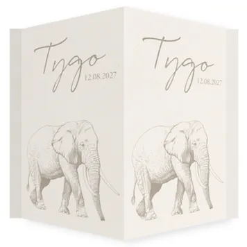 Raambord  olifant