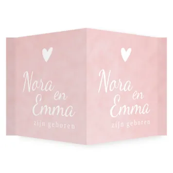 Raambord roze tweeling meisjes