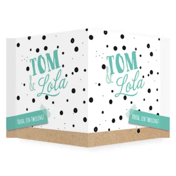 Raambord tweeling - Tom en Lola
