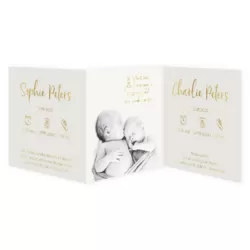Geboortekaartje drieluik tweeling foto folie