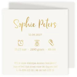 Geboortekaart drieluik tweeling foto folie