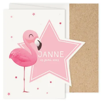 Lieve flamingo voor een roze ster