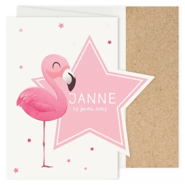Lieve flamingo voor een roze ster