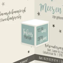 Drieluik silhouet met sterren - Tweeling mm