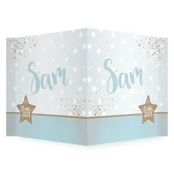Raambord Sam