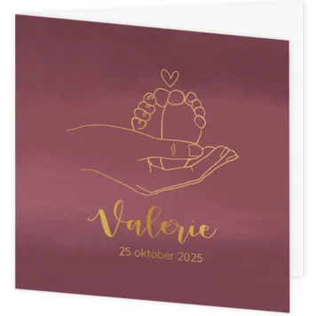 Geboortekaartje Valerie - Schattige voetjes in hand