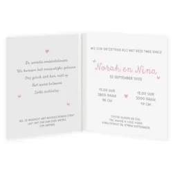 Geboortekaart smalle labels olifantjes tweeling meisjes