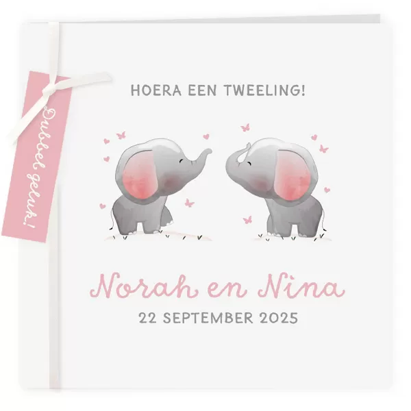 Geboortekaart smalle labels olifantjes tweeling meisjes