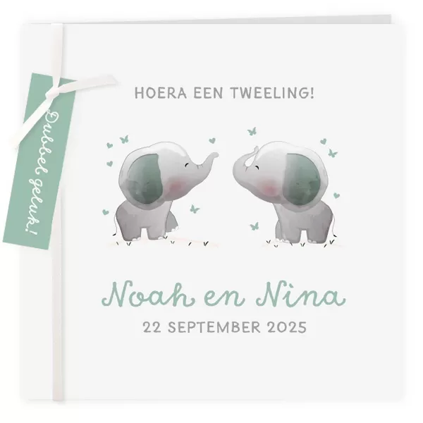 Geboortekaart smalle labels olifantjes tweeling