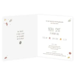 Geboortekaart Noah - Herfst Vosje