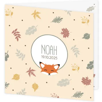 Geboortekaart Noah - Herfst Vosje