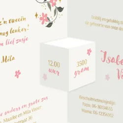 Geboortekaart lieve roze ster met foliedruk