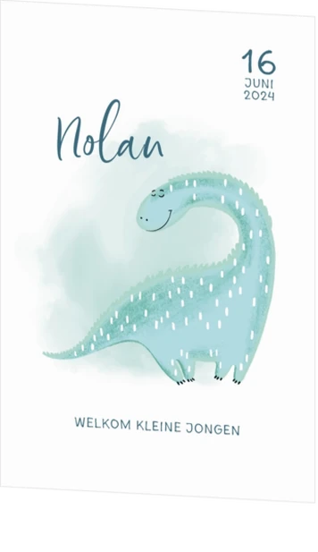 Geboortekaartje Nolan - Dino