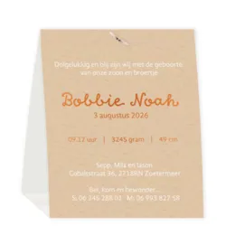 Geboortekaart tentvorm beige met gansje