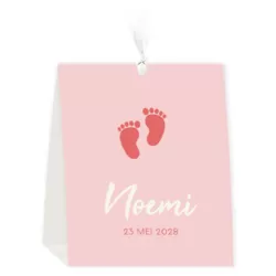 Geboortekaartje tent roze met voetjes