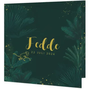 Geboortekaartje Fedde - Lief klein aapje in de jungle