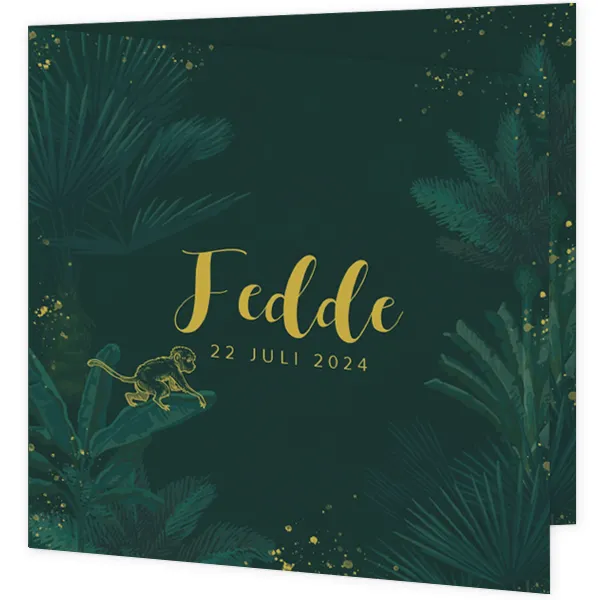 Geboortekaartje Fedde - Lief klein aapje in de jungle