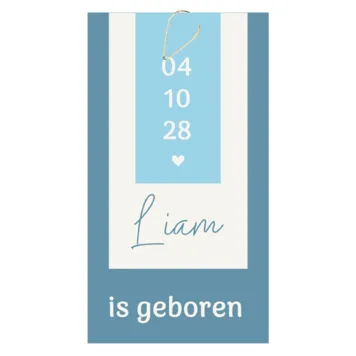 Geboortekaart labels blauw Liam