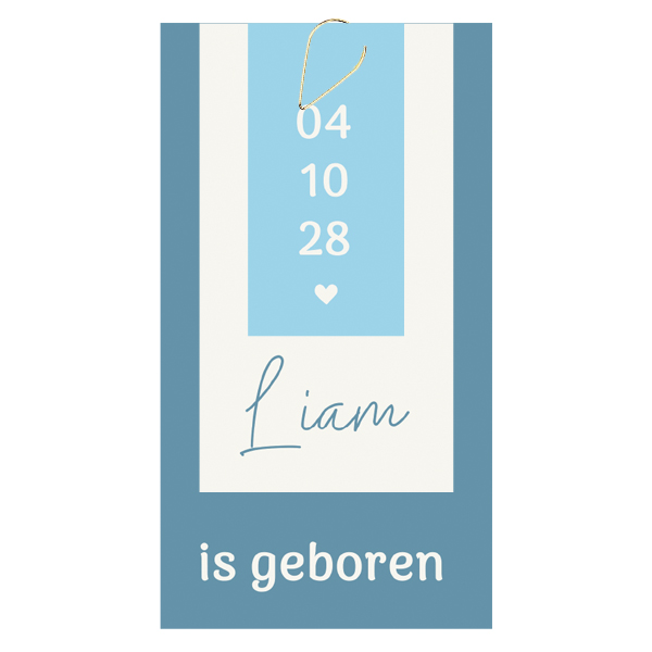 Geboortekaartje labels blauw Liam