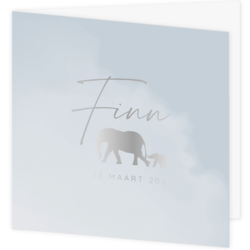 Geboortekaartje Finn - Zilveren olifantjes