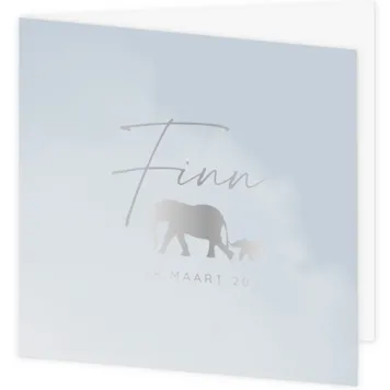 Geboortekaartje Finn - Zilveren olifantjes