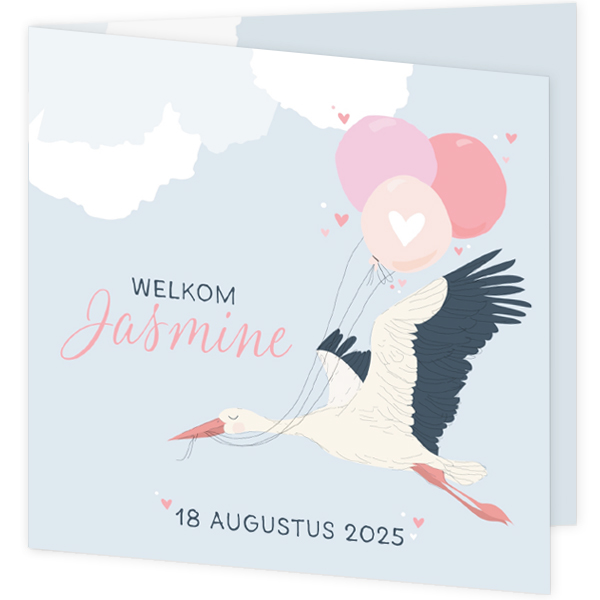  Schattig geboortekaartje - Ooievaar met roze ballonnen