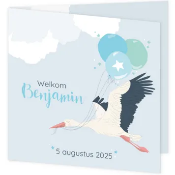 Geboortekaartje Benjamin - Ooievaar met blauw ballonnen
