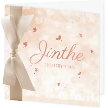Geboortekaart Jinthe - Vlinders en hartjes
