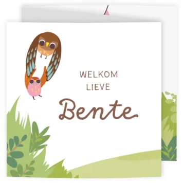 Geboortekaartje - Vrolijk uilen gezin meisje