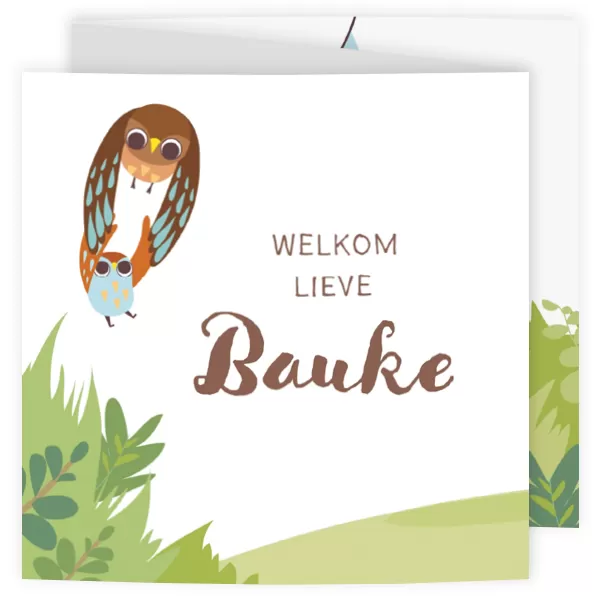Geboortekaart - Vrolijk uilen gezin jongen