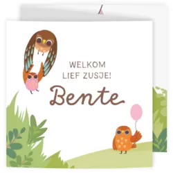 Geboortekaart - Vrolijk uilen gezin zusje