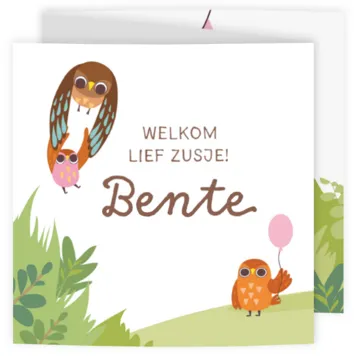 Geboortekaart - Vrolijk uilen gezin zusje