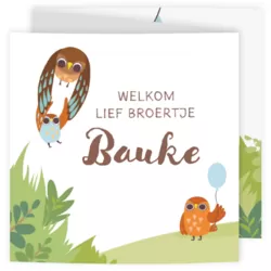 Geboortekaartje - Vrolijk uilen gezin broertje