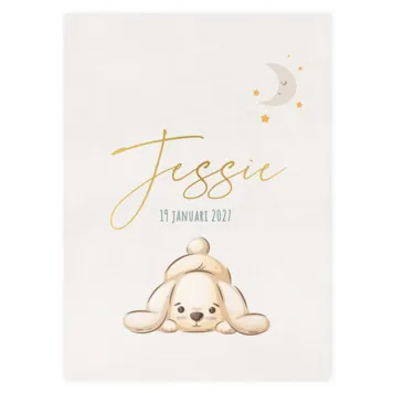 Geboortekaart Jessie puppy