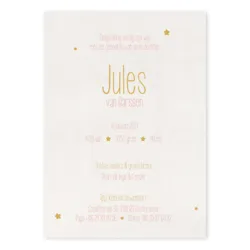 Geboortekaart enkel Jules hertje
